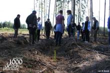 Akcja sadzenia lasu- 1000 drzew na minutę